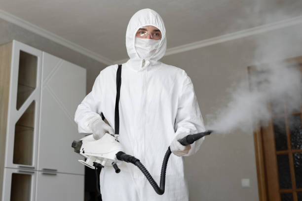 Trusted Mcminnville, TN Mold Removal Experts